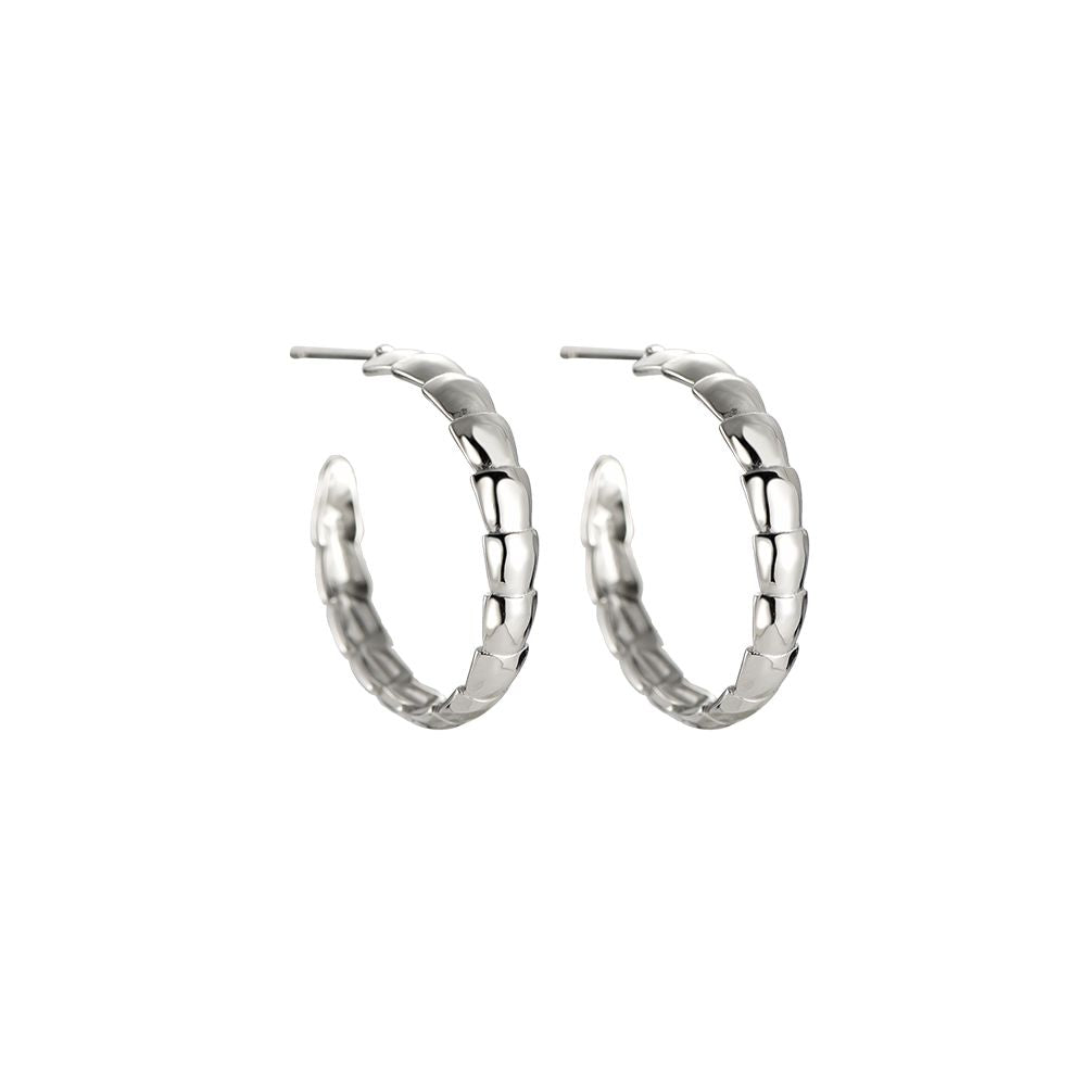 Curving Viper Edelstahl Ohrringe