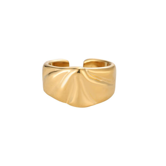 Definity Edelstahl Ring